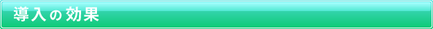 導入の効果